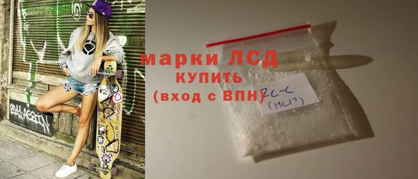 шишки Бородино