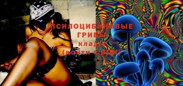 mdpv Бугульма