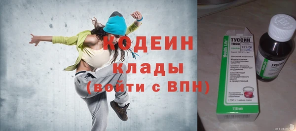 шишки Бородино
