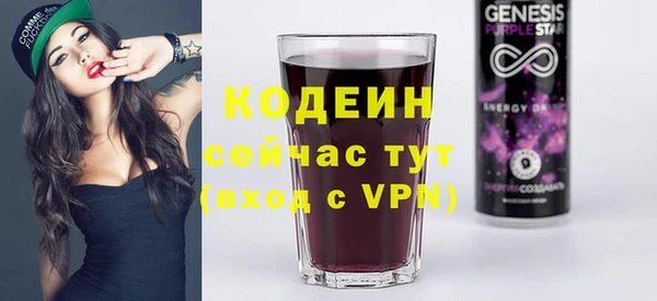 шишки Бородино