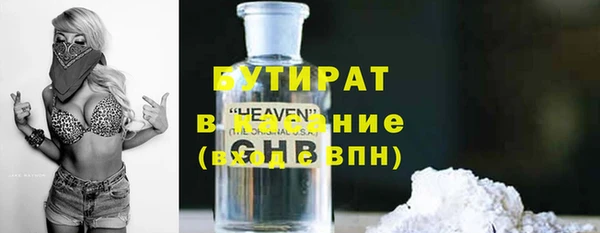 шишки Бородино