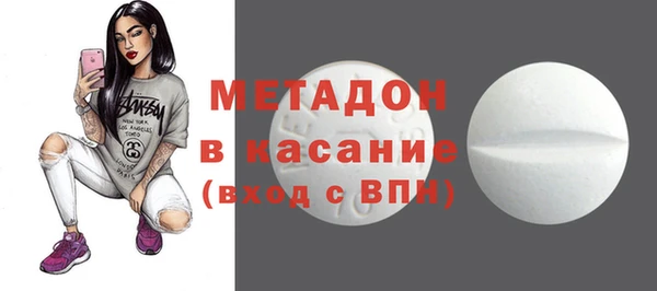 шишки Бородино