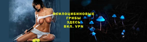 шишки Бородино
