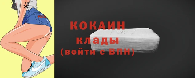шишки Бородино