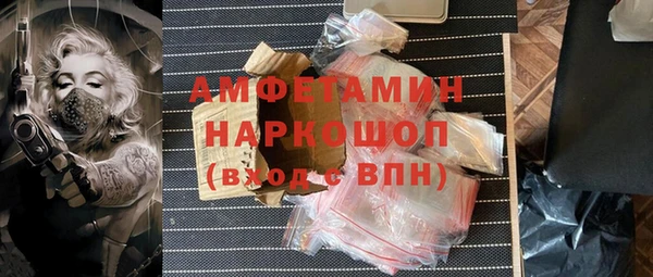 шишки Бородино