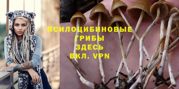 mdpv Бугульма
