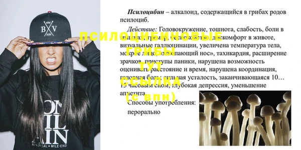 шишки Бородино