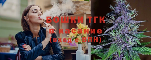 шишки Бородино