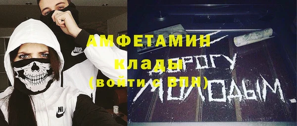 шишки Бородино