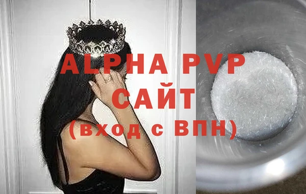 шишки Бородино