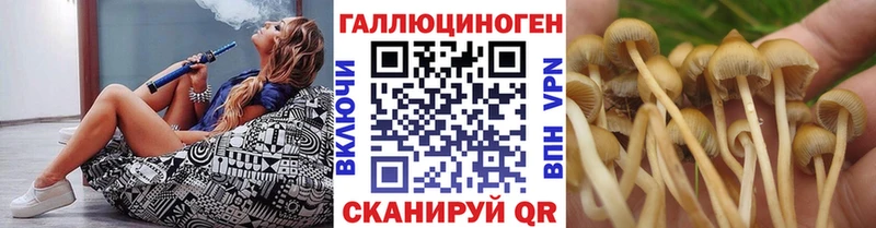 Галлюциногенные грибы Cubensis  Купить закладки  Камешково 